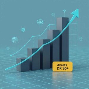 Increase Ahrefs DR 30+